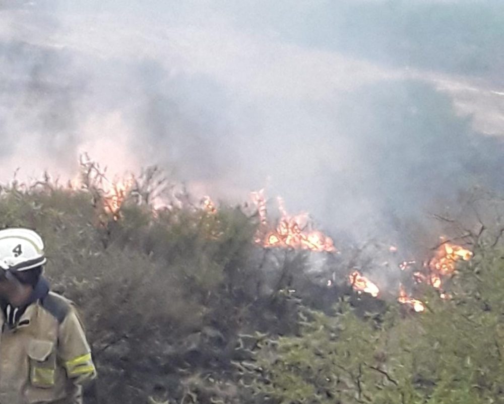 Cosquín: Incendio Forestal En B° Las Carmelitas – MULTIMEDIOS PRISMA 24