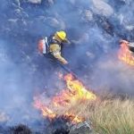 Detienen a Joven por Incendios Intencionales en La Calera